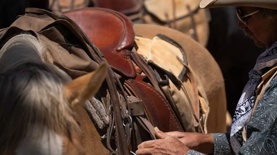 State Line Tack horse equipment selectio
