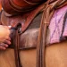 State Line Tack horse equipment selectio
