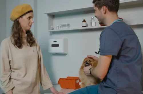 Canada Vet Express pet supplies concept