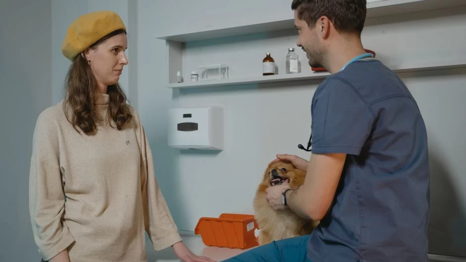 Canada Vet Express pet supplies concept