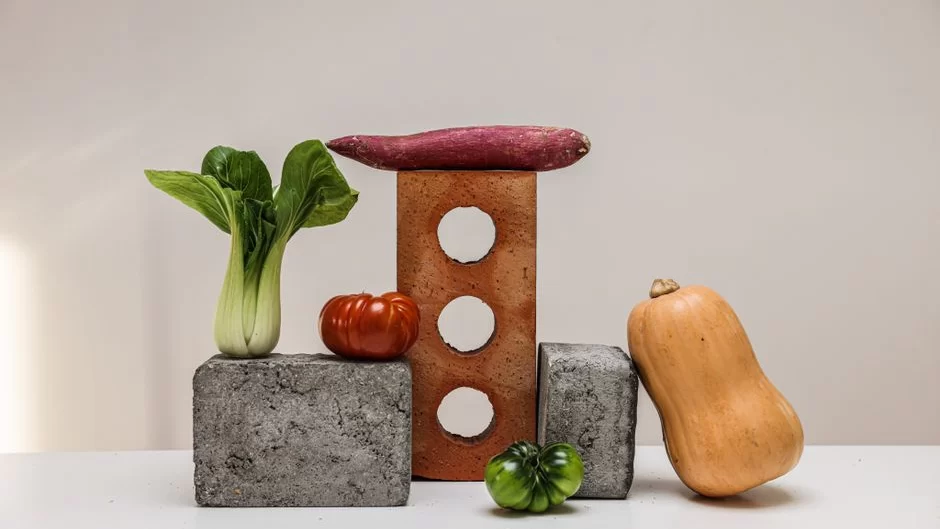 Hungry Harvest fresh produce box editori