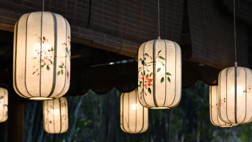 Jinchan home curtains and botanical rug